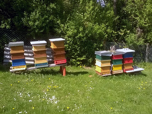 Bienenstöcke